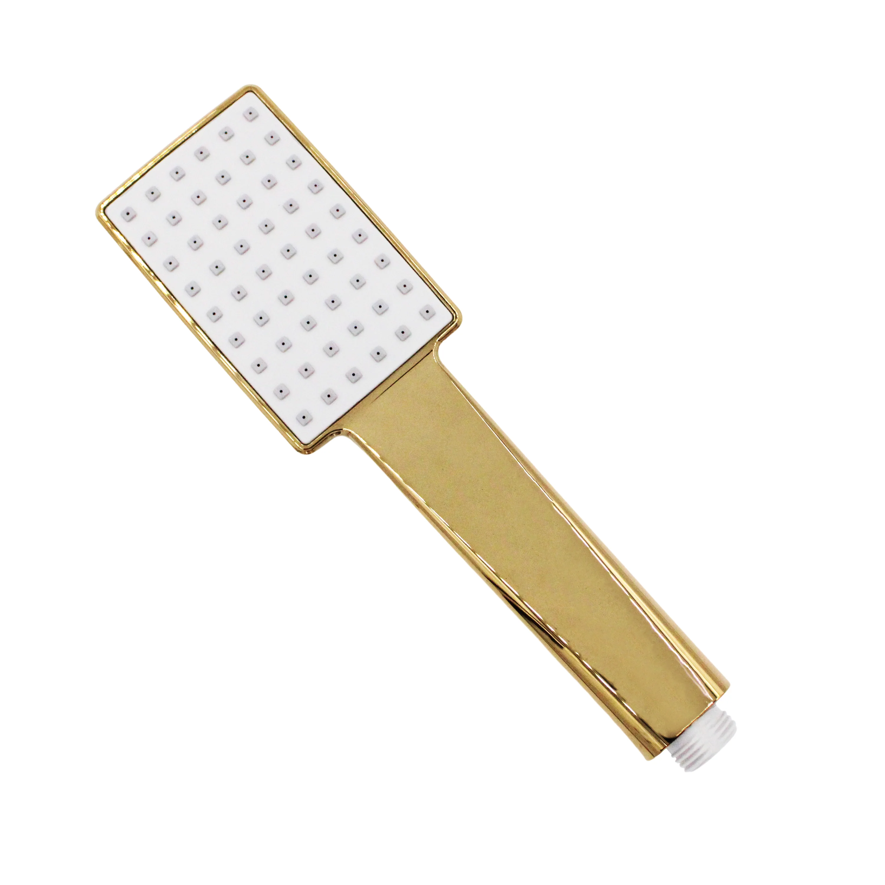 Handheld Showerhead in Polished Gold (AF2P0064E2)